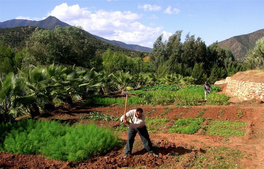 Domaine Malika Hotel Moulay Brahim ภายนอก รูปภาพ